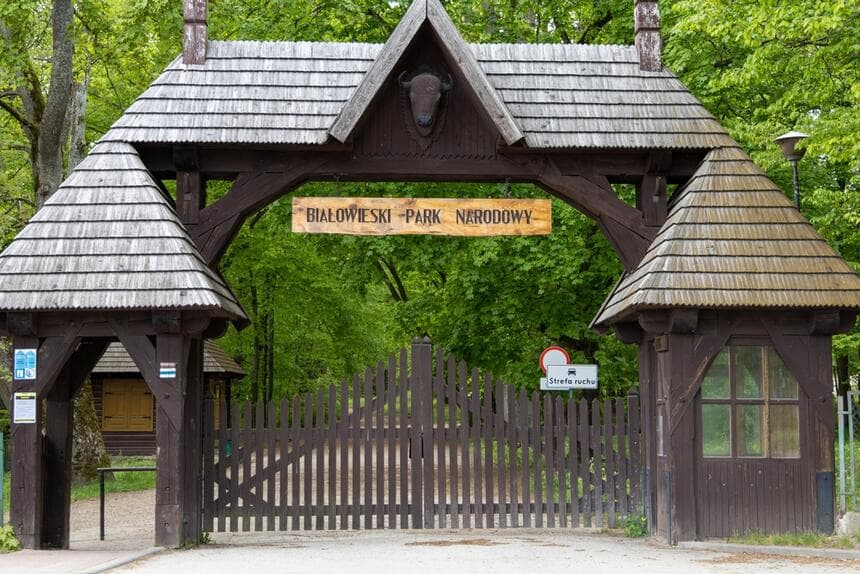 Białowieski Park Narodowy: Praktyczny przewodnik po Puszczy Białowieskiej